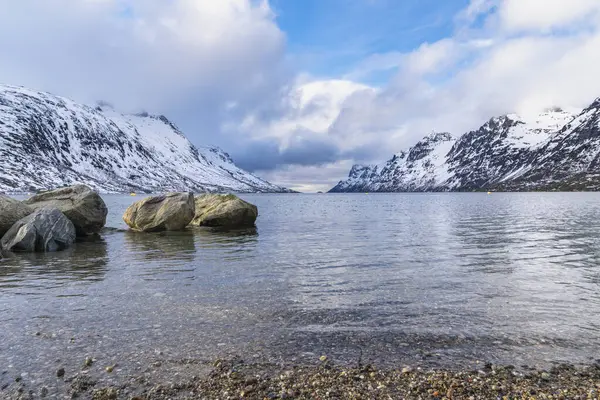 Okyanus kıyısındaki kayalar, dalgalı taşlı kum çakıl plajı, yüksek karlı dağlı fiyort manzarası, günbatımında panorama renkli bulutlu gökyüzü ve deniz kenarında sarı çimenler.