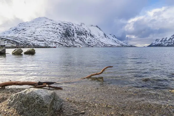 Okyanus kıyısındaki kayalar, dalgalı taşlı kum çakıl plajı, yüksek karlı dağlı fiyort manzarası, günbatımında panorama renkli bulutlu gökyüzü ve deniz kenarında sarı çimenler.