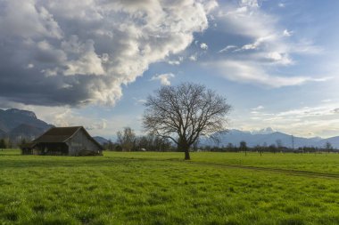 Rhein Vadisi 'ndeki çayırlarda tek bir ağaç ve ahşap ahır, Vorarlberg ve İsviçre dağlarıyla fırtına altında panorama. Gri, siyah, sarı ve mavi bulutlar akşam gökyüzünde