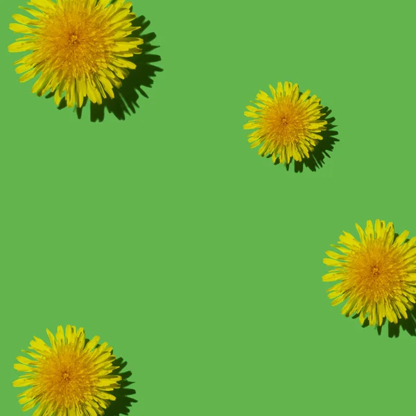 Абстрактный Фон Одуванчиками Красивые Цветы Летняя Концепция Баннер Дизайн Обои — стоковое фото