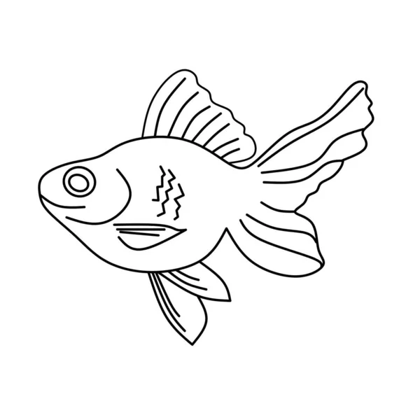 Ilustração Gráfica Peixe Decorativo Peixe Água Doce Desenhado Mão Coma — Fotografia de Stock
