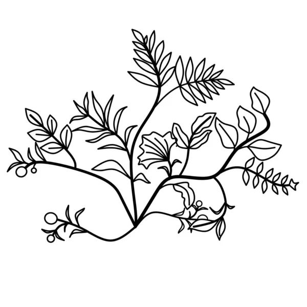 Kwiatowy Ozdoba Grafika Ilustracja Rysunek Line Art Białym Tle — Zdjęcie stockowe