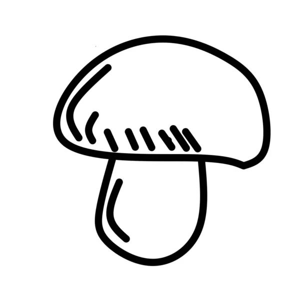 Vector Line Icon White Isolated Mushroom — Stock Vector