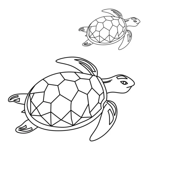 Grafik Vektor Illustration Von Zwei Schildkröten Isoliert Weiße Farbe Geeignet — Stockvektor