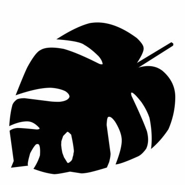 Siyah Monstera Deliciosa gider, Vector. Siyah tropikal yapraklar, beyaz arka planda