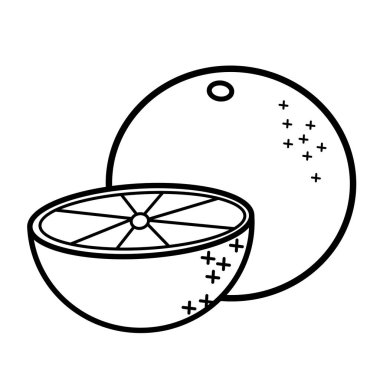 Beyaz arkaplanda doğrusal resim turuncusu. Boyama sırası sayfası için çizim. Vektör illüstrasyonu