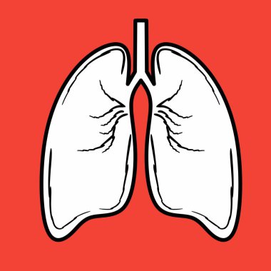 Kırmızı arkaplanda Vektör Akciğerler. Sağlık şablonu tasarımları için uygundur