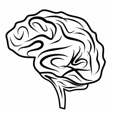 İnsan beyni tıbbi vektör ikonu çizimi. Beyaz bir arkaplanda
