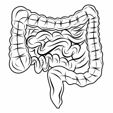 Beyaz arkaplanda geniş ve ince bağırsak çizgisi simgesi veya sindirim sistemi sembolü