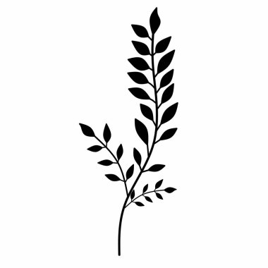 Siyah dalları olan yapraklar elle çizilmiş, izole edilmiş beyaz arkaplan