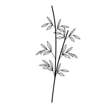 Elle çizilmiş bambu bitkisi. Beyaz arka planda siyah beyaz klipsli sanat. Bambu ağacı vektör çizimi