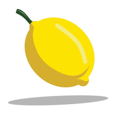 Taze limon vektör çizimi, canlı limon vektör sanatı. Beyaz bir arkaplanda