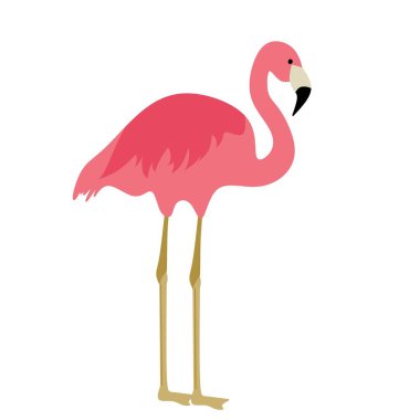 Şirin pembe flamingo. Beyaz bir geçmişi var. Bir çiftin aşk sembolü için uygun..