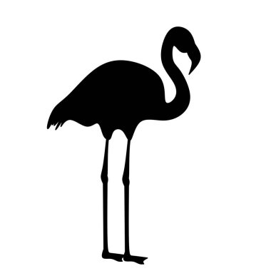 Flamingo silueti. Beyaz arkaplanda, vektör illüstrasyonu