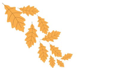 Sonbahar yaprakları. Beyaz bir zemin üzerine düşmek, sonbahar temalı projeler ve arka planlar için mükemmel, sakin ve mevsimsel bir tasarım yaratır..