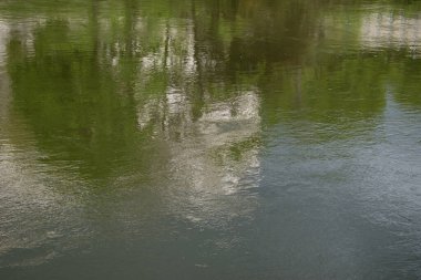 Avusturya, Viyana - 26 Nisan 2023 şehir binaları suya yansıyor. Tuna Kanalı.