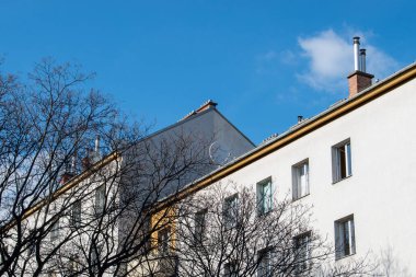 Mavi gökyüzü, doğa ve modern mimari Viyana şehrinin sokaklarında