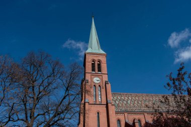 Mavi gökyüzü, doğa ve mimari Viyana şehrinin sokaklarında