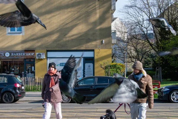 ウィーン オーストリア 2023年4月4日飛行中の都市のシンフォニー鳥 移動中の人々 — ストック写真