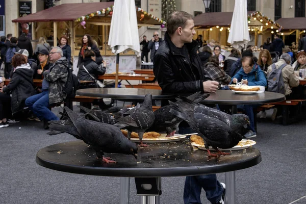 ハンガリーのブダペスト 2023年4月16日 祭りの喧騒の中でハトは群衆がフードフェスティバルに集まるので テーブルの上で余分なものを食べます — ストック写真