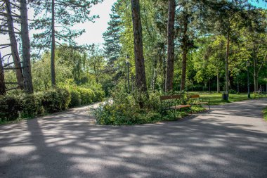 Viyana, Avusturya. 8 Mayıs 2023 Floridsdorf Parkı 'ndaki gölgeler aydınlandı.