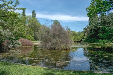 Viyana, Avusturya. 8 Mayıs 2023 Floridsdorf su parkındaki gölgeler aydınlandı.