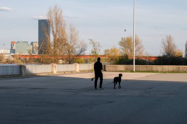 Viyana, Avusturya. 5 Nisan 2023 Danube Nehir kenarında köpeğini gezdiren bir adam