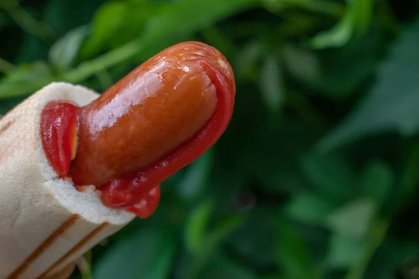 Een Klassieke Hotdog Straat Traditionele Polish Kip Hot Dog Tomaat — Stockfoto