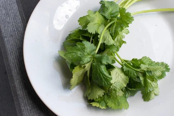 stock image A close-up stock photo featuring wet, vibrant coriander leaves against a crisp white plate. The image highlights the herb's freshness and natural beauty.