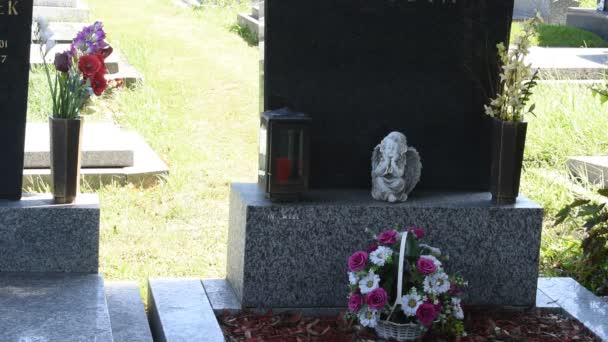 Viena Austria Ago 2023 Cementerio Simmering Viena Antiguo Cementerio Que — Vídeos de Stock