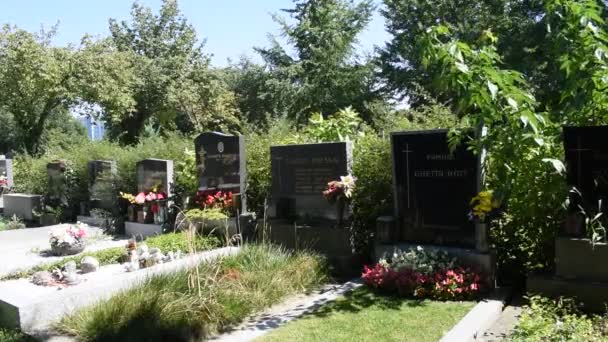 Βιέννη Αυστρία Αυγ 2023 Κοιμητήριο Simmering Στη Βιέννη Ένας Αρχαίος — Αρχείο Βίντεο