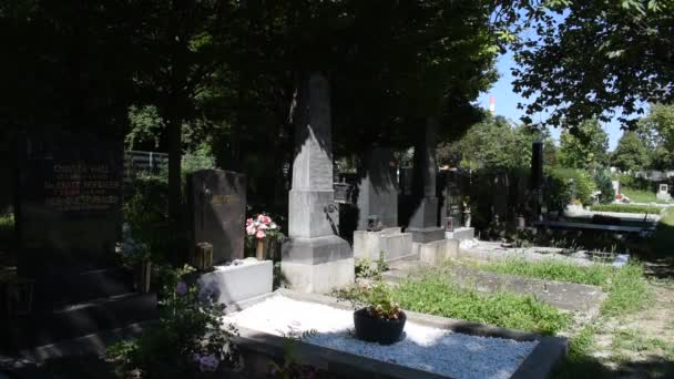 비엔나 오스트리아 2023년 12일 시대로 거슬러 올라가는 묘지인 비엔나의 묘지에는 — 비디오