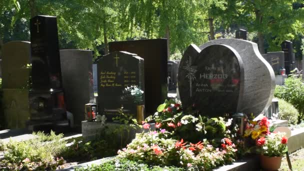 Vienna Austria Aug 2023 Simmering Cemetery Vienna Ancient Burial Site — Stock Video