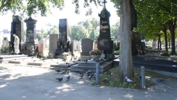 Vienna Austria Ago 2023 Cimitero Simmering Vienna Antico Luogo Sepoltura — Video Stock
