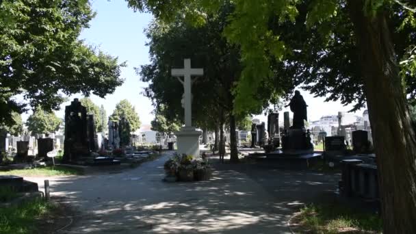 Wiedeń Austria Sie 2023 Cmentarz Simmering Wiedniu Starożytne Miejsce Pochówku — Wideo stockowe