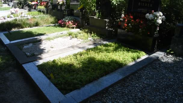 Vienna Austria Aug 2023 Simmering Cemetery Vienna Ancient Burial Site — Stock Video