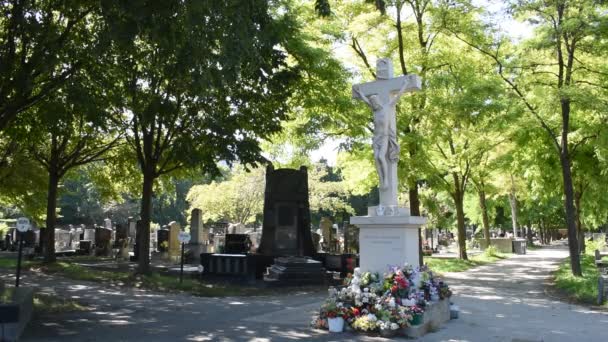 Wien Österrike Aug 2023 Simrande Kyrkogård Wien Gammal Begravningsplats Som — Stockvideo