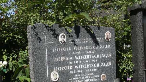 Vídeň Rakousko Srpna 2023 Doutnající Hřbitov Vídni Starobylé Pohřebiště Dob — Stock video