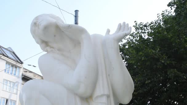 ウィーン オーストリア 8月2023 シューベルト噴水 この噴水は大理石の女の子と音楽遺産を特徴としています 1928年に発表された それは偉大な作曲家フランツ シューベルトに敬意を表します 詳細ビュー — ストック動画