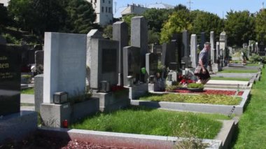 Viyana, Avusturya. 12 Ağustos 2023: Viyana 'daki kaynayan mezarlık, Roma zamanlarına dayanan antik bir mezarlık, tarihin, mimarinin ve kutsal güzelliğin büyüleyici bir karışımı..