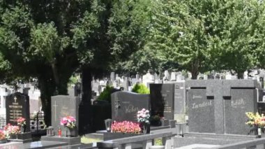 Viyana, Avusturya. 12 Ağustos 2023: Viyana 'daki kaynayan mezarlık, Roma zamanlarına dayanan antik bir mezarlık, tarihin, mimarinin ve kutsal güzelliğin büyüleyici bir karışımı..