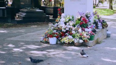 Viyana, Avusturya. 12 Ağustos 2023: Viyana 'daki kaynayan mezarlık, Roma zamanlarına dayanan antik bir mezarlık, tarihin, mimarinin ve kutsal güzelliğin büyüleyici bir karışımı..