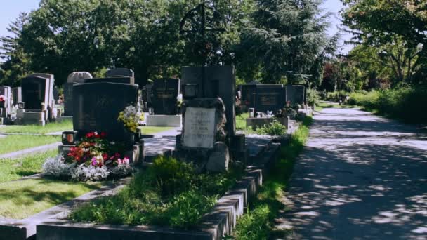 Вена Австрия Авг 2023 Кладбище Симмеринг Вене Древнее Захоронение Датируемое — стоковое видео