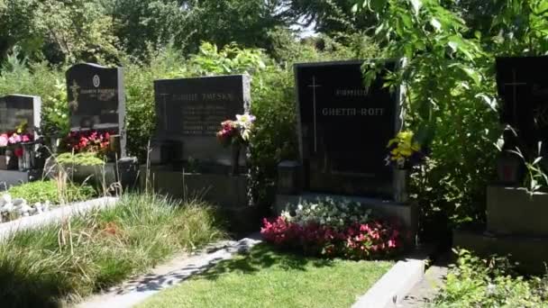 Viena Austria Aug 2023 Cimitirul Simmering Din Viena Loc Antic — Videoclip de stoc