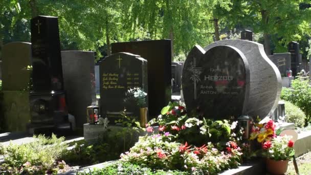 Wien Aug 2023 Der Simmeringer Friedhof Wien Eine Antike Grabstätte — Stockvideo