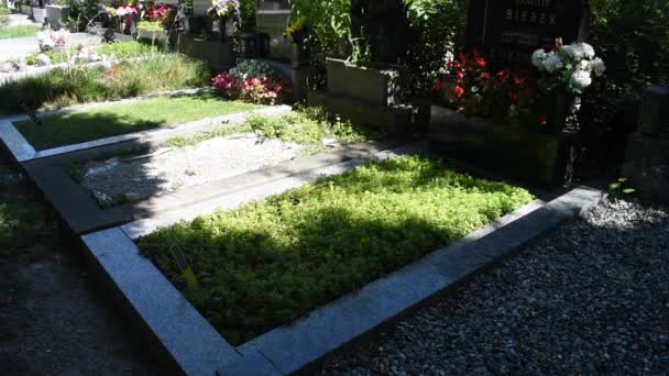 Viena Austria Ago 2023 Cementerio Simmering Viena Antiguo Cementerio Que — Vídeo de stock
