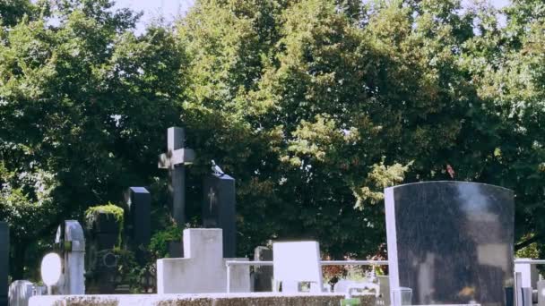 Вена Австрия Авг 2023 Кладбище Симмеринг Вене Древнее Захоронение Датируемое — стоковое видео