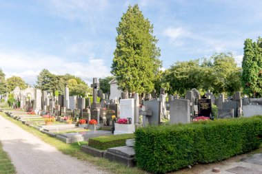 Viyana, Avusturya 4 Temmuz 2023, Hietzing Mezarlığı: önemli şahsiyetlerin dinlendiği yer. 1787 'den bu yana tarihi bir mekan, sanatçılar, politikacılar ve daha fazlası hakkında hikayeler barındırıyor..