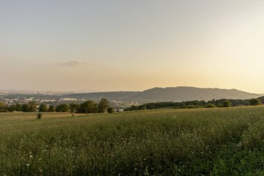 Floridsdorfer Panorama: Bisamberg 'deki Floridsdorfer Panorama gözlem güvertesinden Viyana' nın nefes kesici manzarasının tadını çıkarın. Panoramik manzaralar için bir ziyaret noktası.