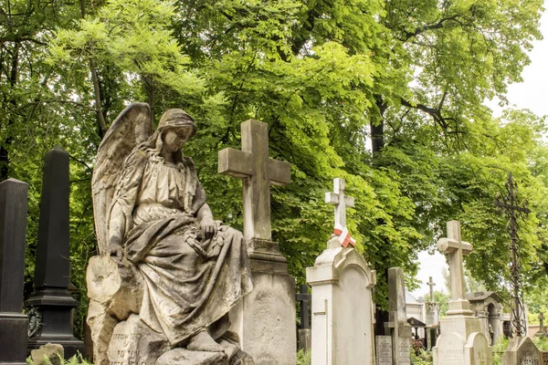 Varsovia Polonia Junio 2023 Cementerio Histórico Powazki Polonia Establecido 1790 —  Fotos de Stock